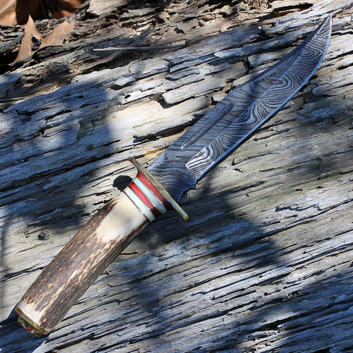 Damascus 1043 El Dorado Skinner, 6" Damascus Plain Blade, Round Stag Handle - Image 3